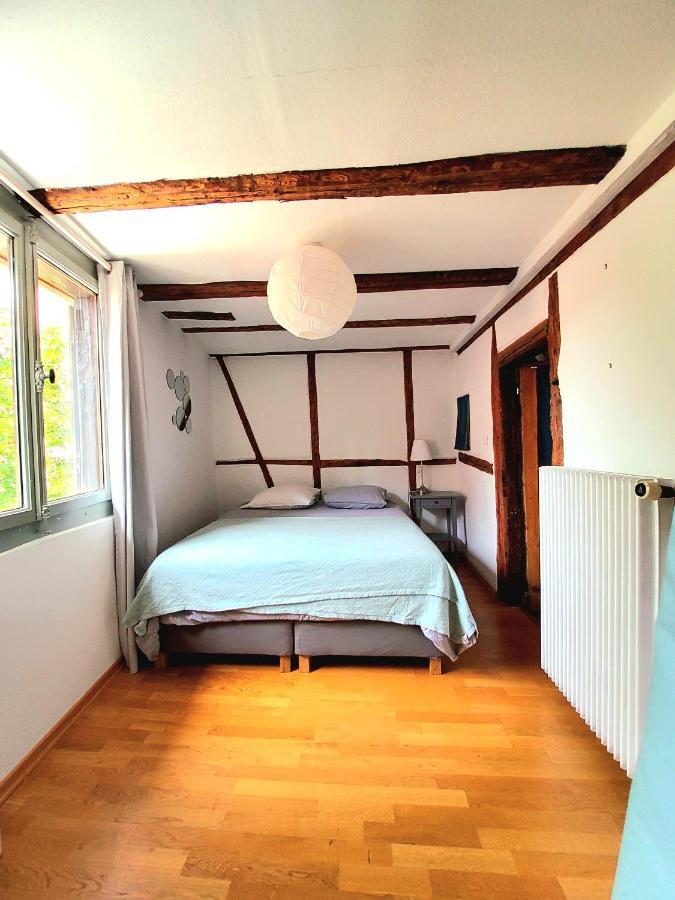 Gite 3 étoiles Les Tilleuls Colmar Exterior foto