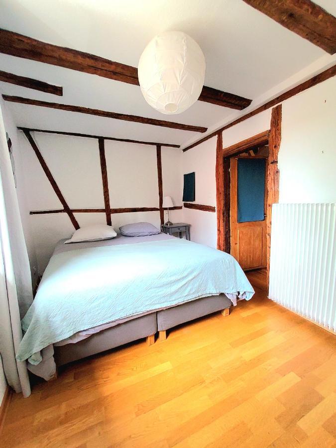 Gite 3 étoiles Les Tilleuls Colmar Exterior foto
